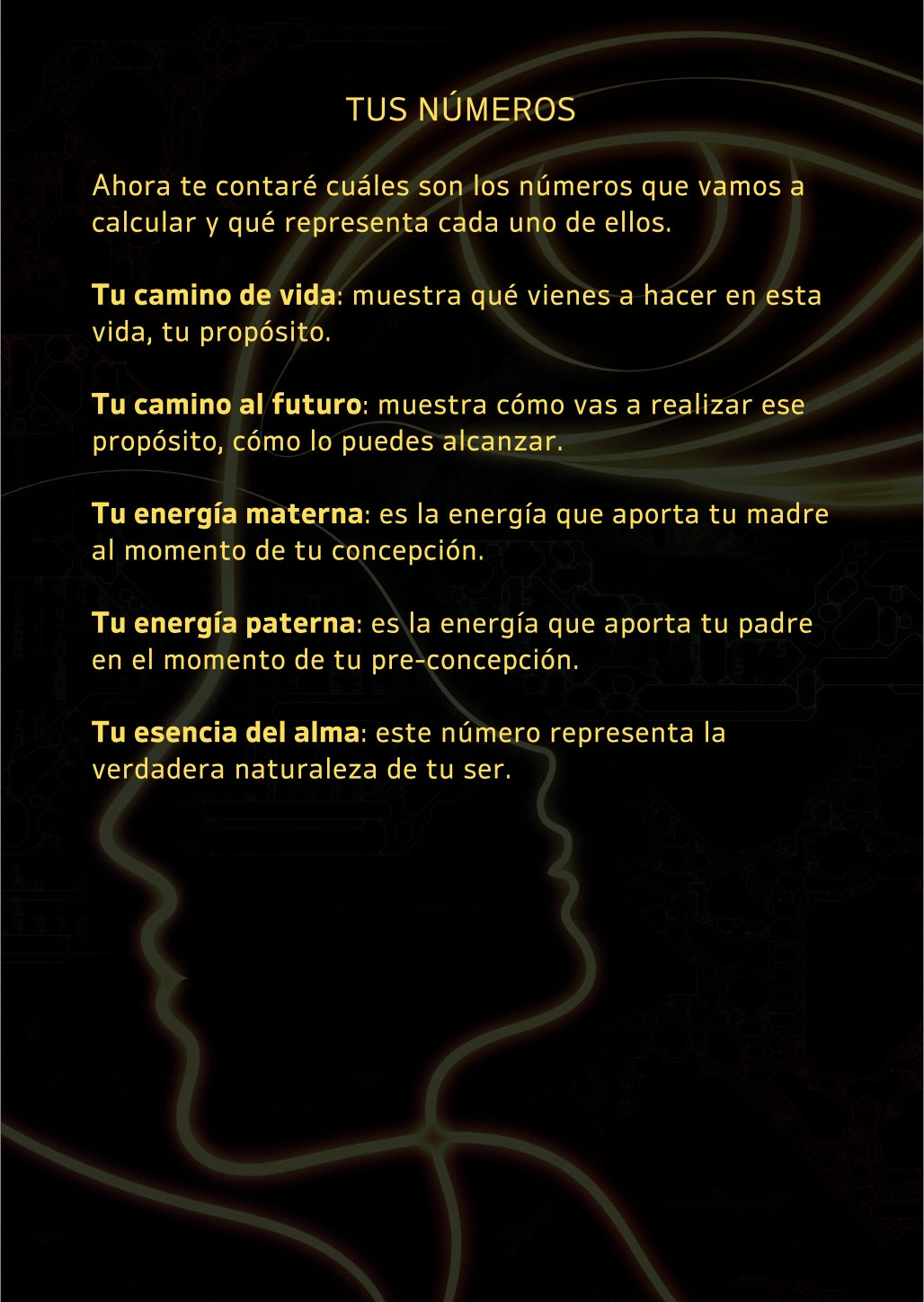 Tu mapa del alma | Guía digital de numerología y tarot